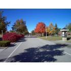 Mount Pleasant: : Central Michigan University in autumn