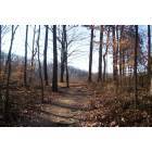 Elwood: Day trip to Brown County