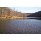 Elwood: Day trip to Brown County