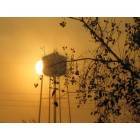 Wellington: watertower fall morning