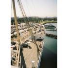 Long Beach: : View of Harbor at Long Beach, from the Queen Mary