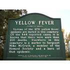 Brownsville: Yellow Fever