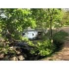 Brushy Creek: Brushy Creek, TX - Brushy Creek Duck Pond