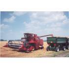 Gibsonburg: Harvest Time