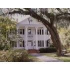 Walterboro: The Fripp-Fishburne House (a privately-owned house built in 1889)