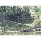Tampa: Lazy Days on Hillsborough River