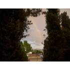 Kingman: Kingman Rainbow