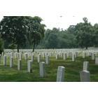 Arlington: Arlington National Cemetery 