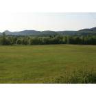 Upper Siuslaw: Pasture...