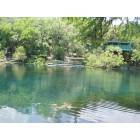 San Marcos: Aquarena Springs