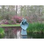 Summerville: Azalea Park pond