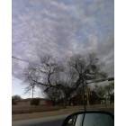 Carrizo Springs: CARRIZO SPRINGS, TX. UNDER A BEAUTIFUL SKY 01/01/08