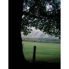 Townsend: Late evening in Cades Cove on Loop Road