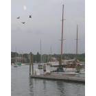 Gloucester: Rocky Neck Harbor