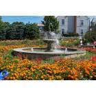 Macungie: Macungie Flower Park