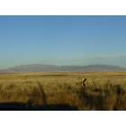 Albuquerque: Picture of the West Mesa