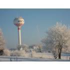 Anita: Water Tower on A Frosty morning