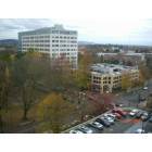 Portland: downtown, max