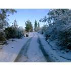 Shingletown: Country road in winter in Shingletown
