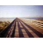 Isle of Palms: Pier on the Isle of Palms Beach 