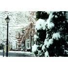 Northumberland: Gazebo @ King St. Park