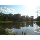Andalusia: 2ac pond in city limits