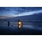 Ocean Shores: night razor clam dig