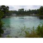 Ocala: Silver Springs, Fl