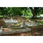 Rosedale: Wunstels at Rosedale Cemetery