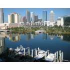 Tampa: downtown tampa from harbour island