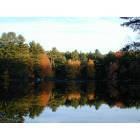 Amherst: Amherst Pond Reflections