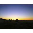 West Paterson: Arizona