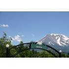 Weed: Weed entry with Mt Shasta in background