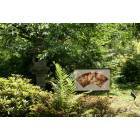 Olympia: Summer Art Exhibition at Olympia's Yashiro Japanese Garden 