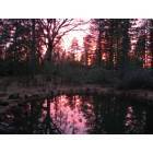 Manton: Sunset over the pond