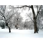 Oak Grove: Winter snow in Oak Grove