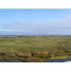 Absecon: view of Atlantic City from Edwin B. Forsythe National Wildlife Refuge observation tower. (open to public)