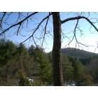 Murphy: Brisk Morning Mountain View