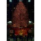 Manhattan: : Rockefeller Center Christmas tree