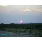 Carrizo Springs: white wing ranch in carrizo springs, texas