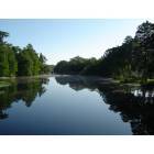 Lake Panasoffkee: Outlet River Lake Panasoffkee, Fl