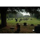 La Fayette: cemetery at dusk