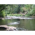 Vernonia: The Nehalem River