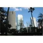Tampa: This is taken from the UT area, looking on downtown