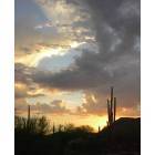 Mesa: The Mesa Desert at Sunset - Usury Pass