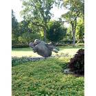 Dallas: : Bronze Sculpture in the Dallas Arboretum