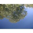 Lewisville: Reflections on Monroe Lake