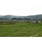 Yoncalla: view of Yoncalla from a distance