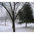 Country Club Hills: Beautiful Snowy Day In Country Club Hills