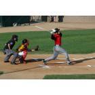 Sioux Falls: Sioux Falls Canaries